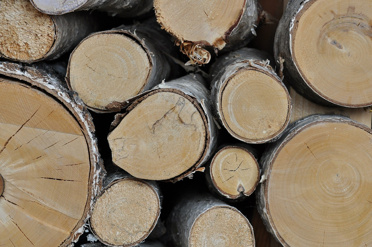 Фото: pixabay.com