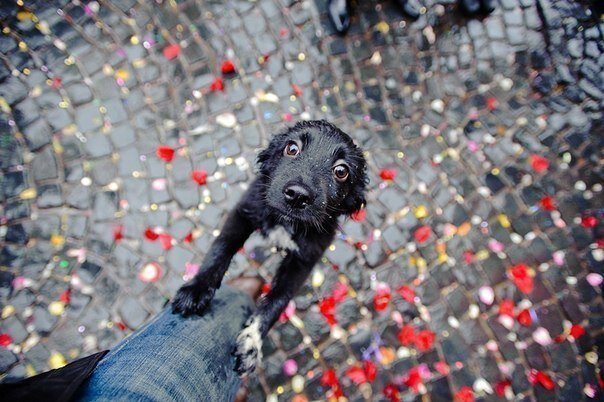 Фото с сайта photo.99px.ru