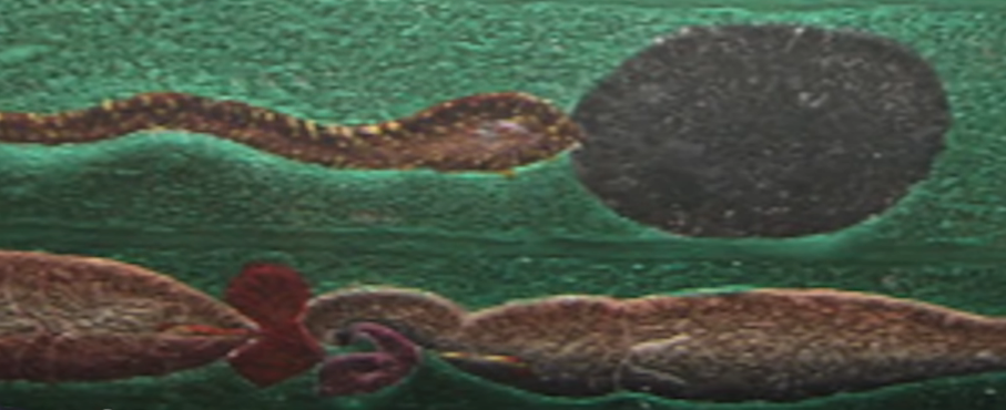 Зачем то решили перекрасить его. Изображение взято из открытого источника 