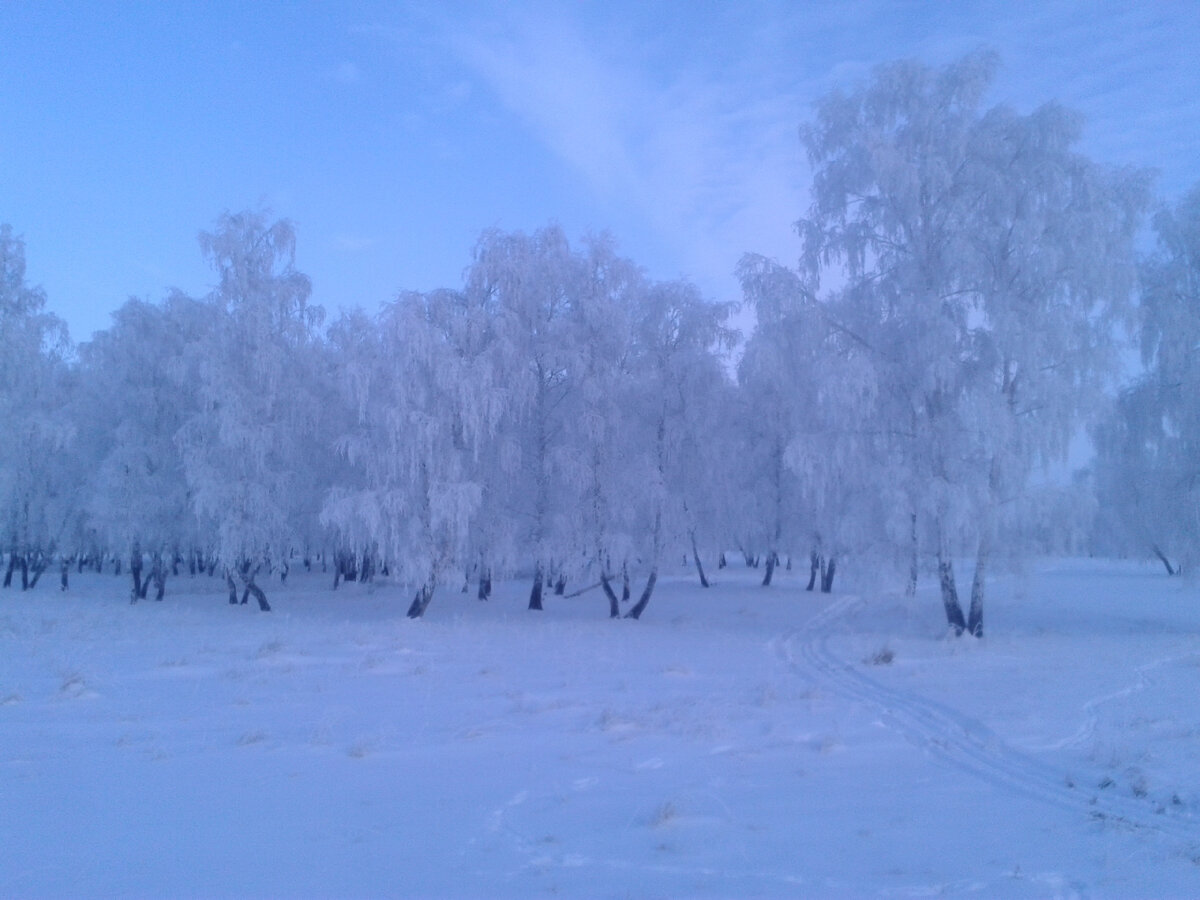 Фото автора.
