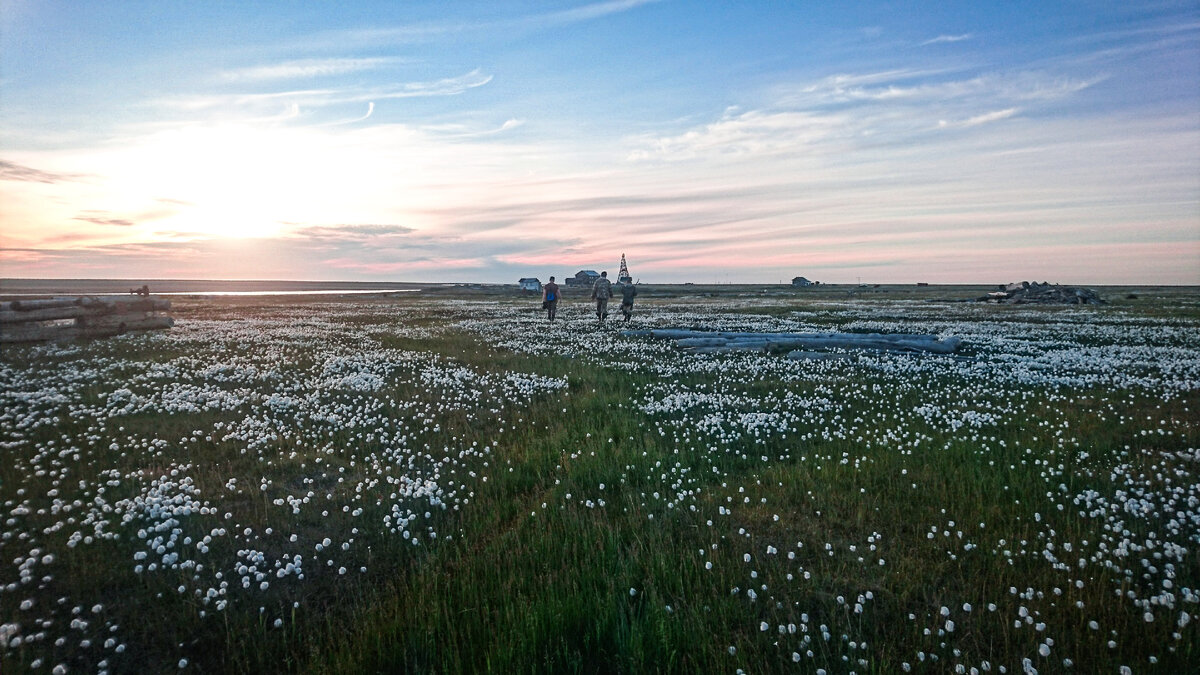 Ландшафты плоской тундры. Вид на станцию.
