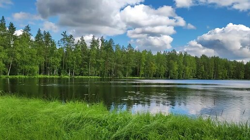 Прогулка по лесным озёрам