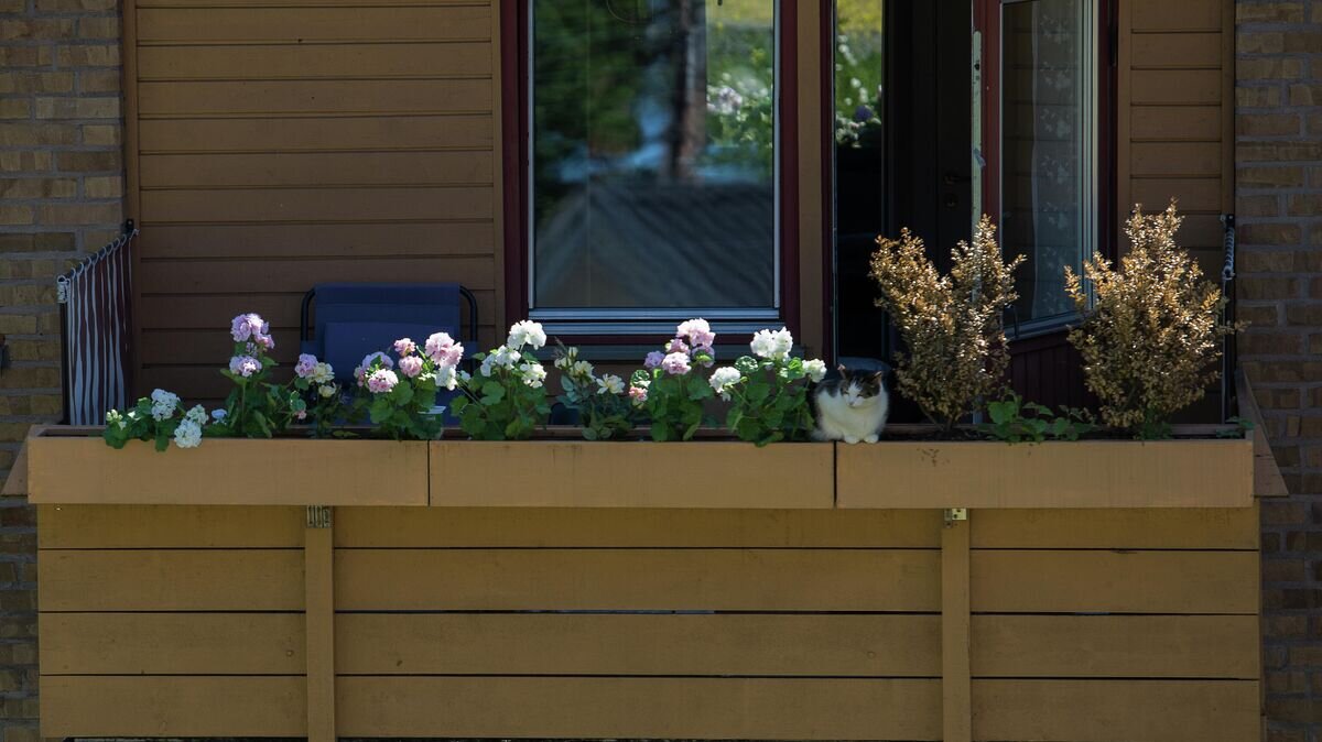    Города мира. Осло© РИА Новости / Александр Вильф