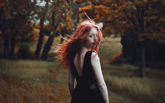 Фото из свободных источников.