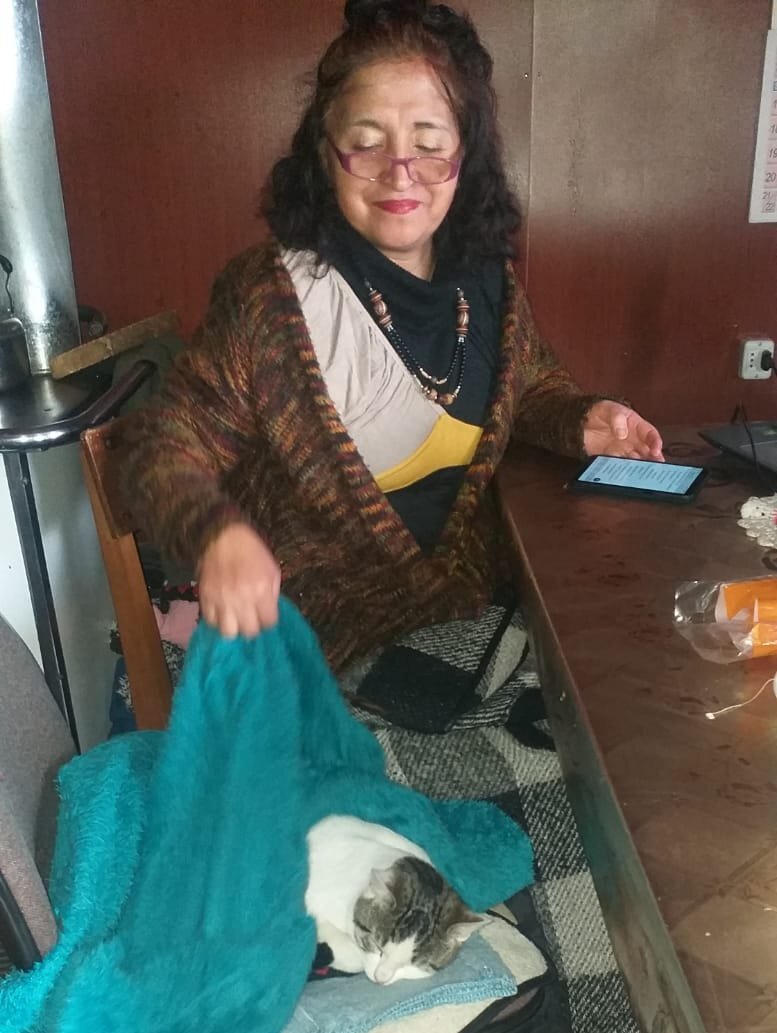 Свекрови тепло возле переделанной в пеллетную печи