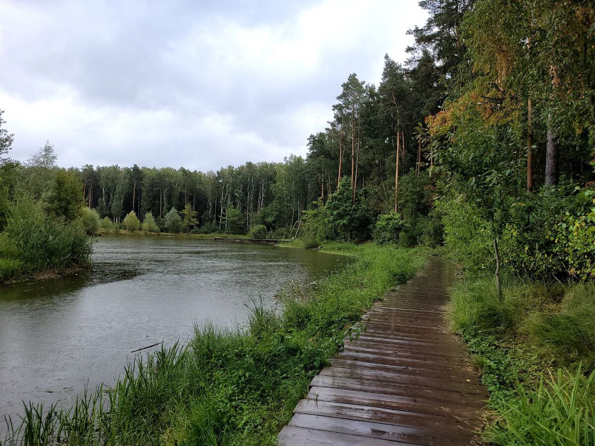 Мещерский парк. Он в Москве или МО? Правда ли, что это лес Романа  Абрамовича? | О Москве и не только | Дзен