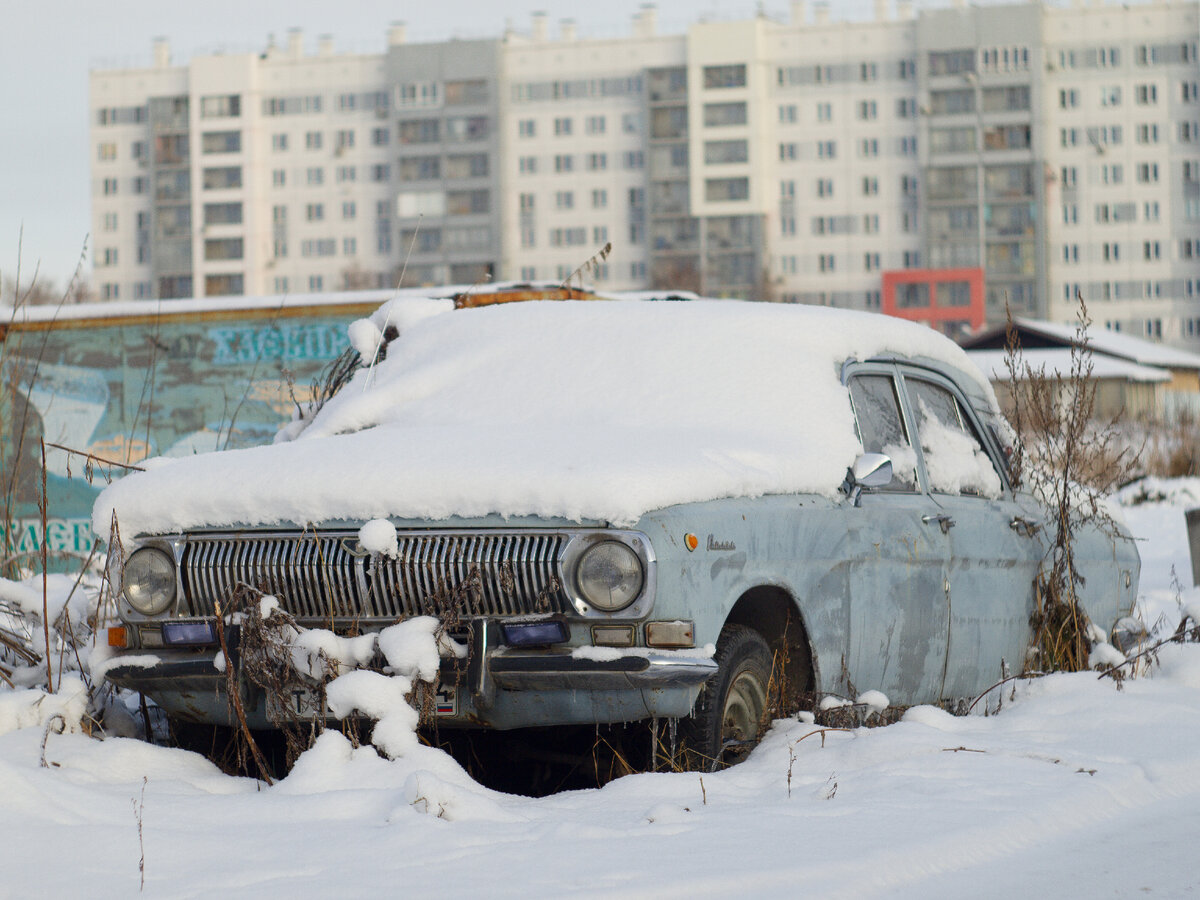 Olympus E-PL1 + Helios-44M-4. 116 мм (экв.), F4 (примерно), 1/1600 сек, 100ISO.