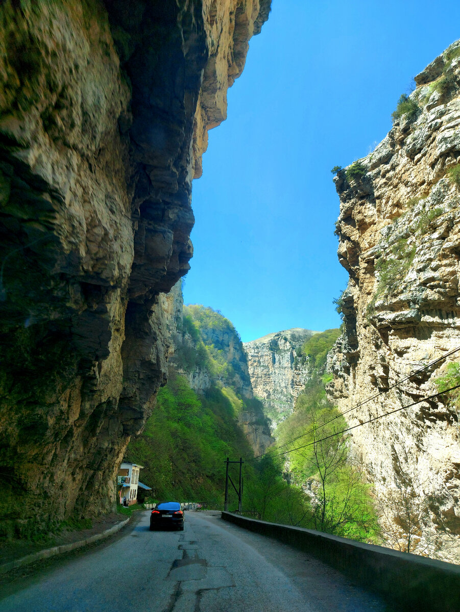 Фото автора.