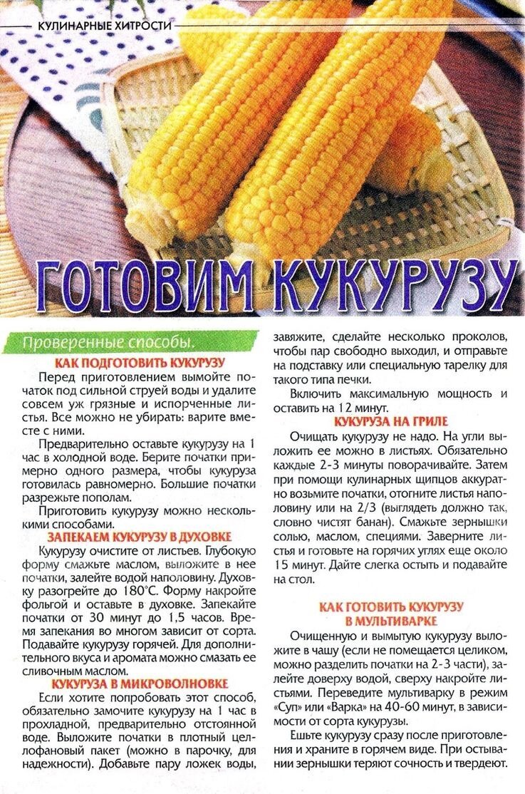 Самые свежие рецепты для Вас!