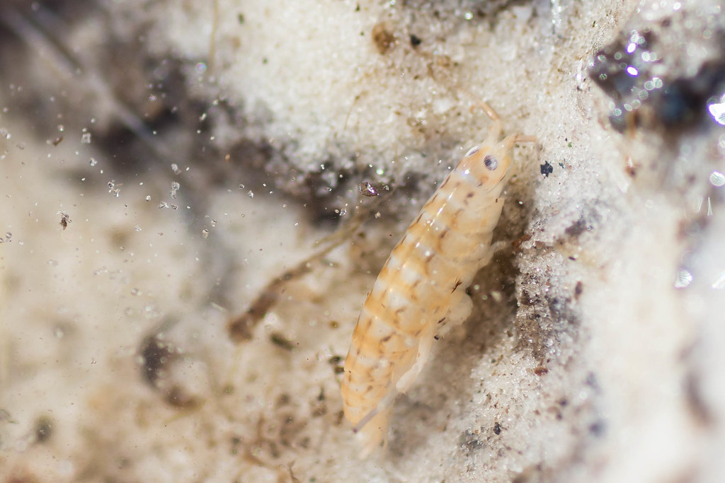 Каждому иногда хочется слиться с пространством, чтобы не надоедали. Только вот получается не всегда...