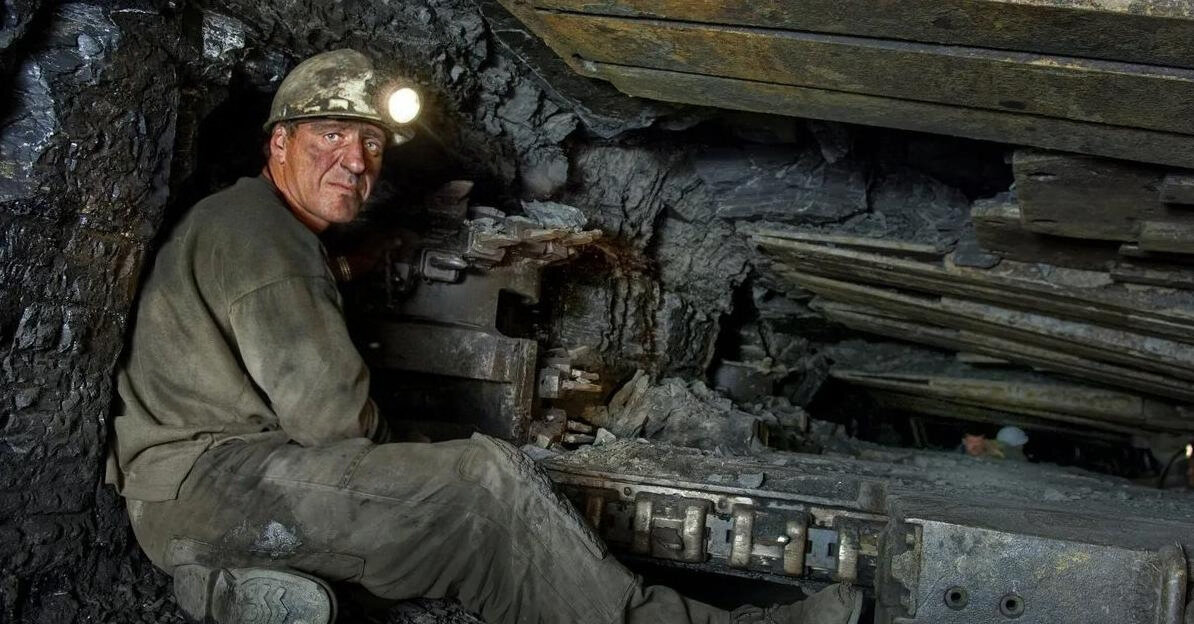 Яндекс картинки