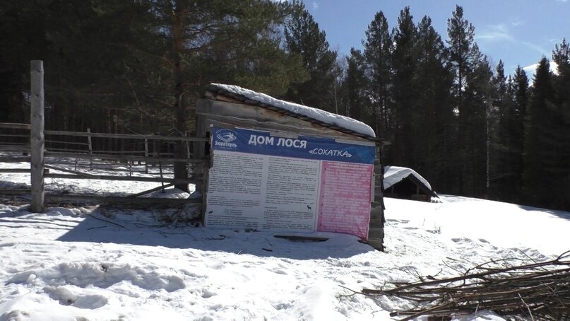 Загон, где выхаживают раненых и больных диких животных.