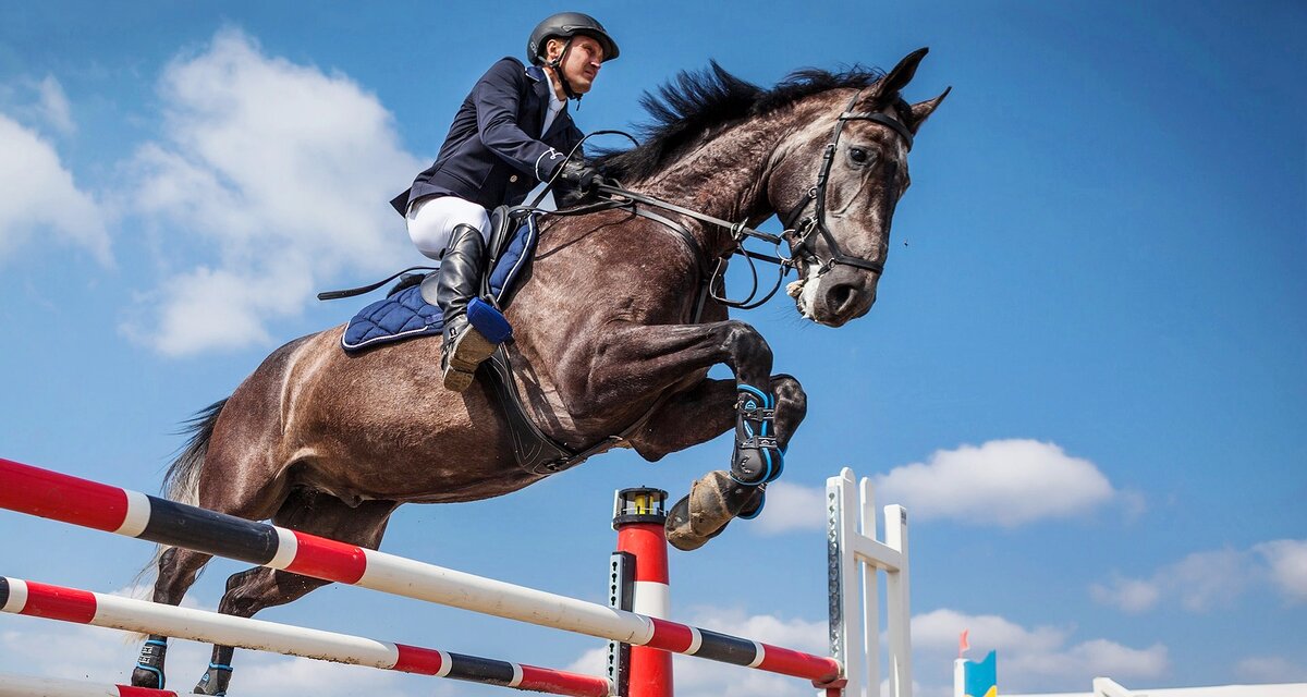 Изображение с сайта https://pixabay.com