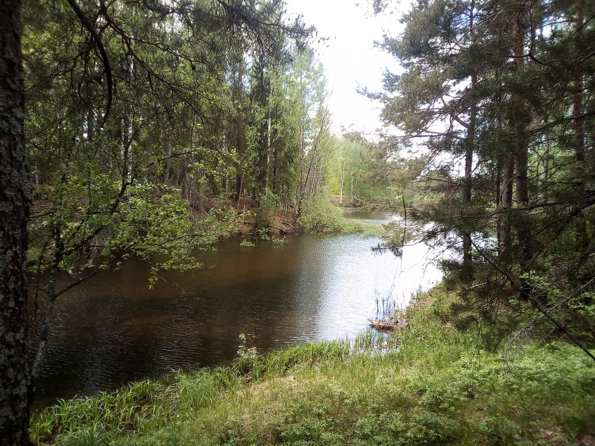 (пруд на краю исчезнувшей деревни)