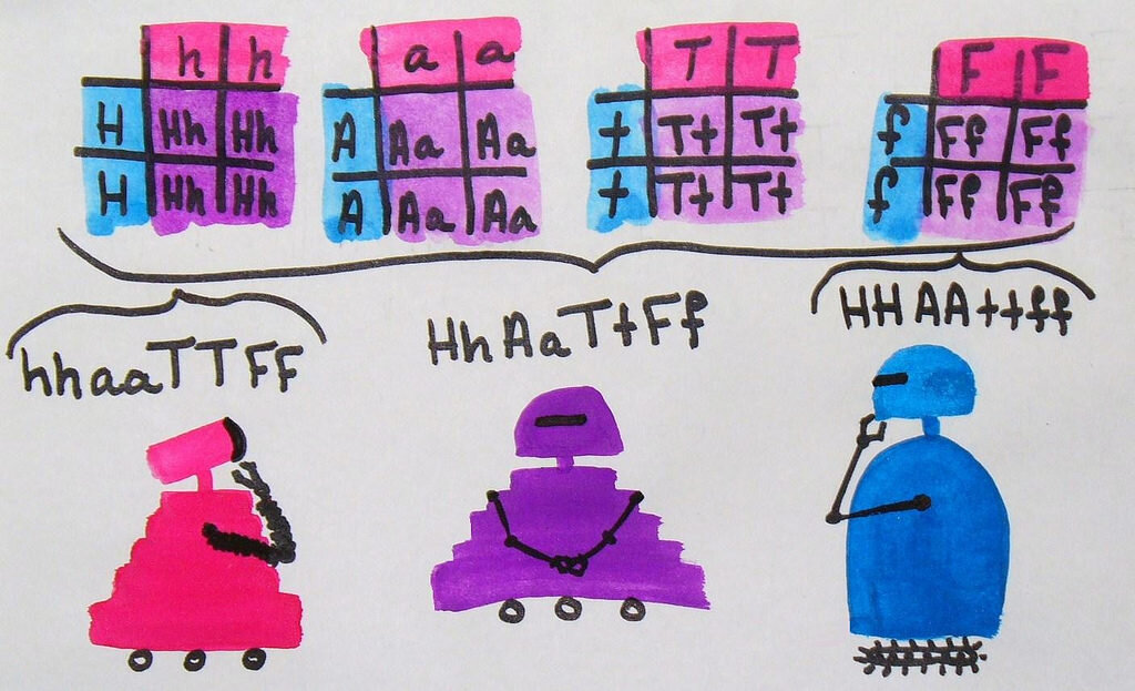 Иллюстрация: Katy Tresedder/Flickr