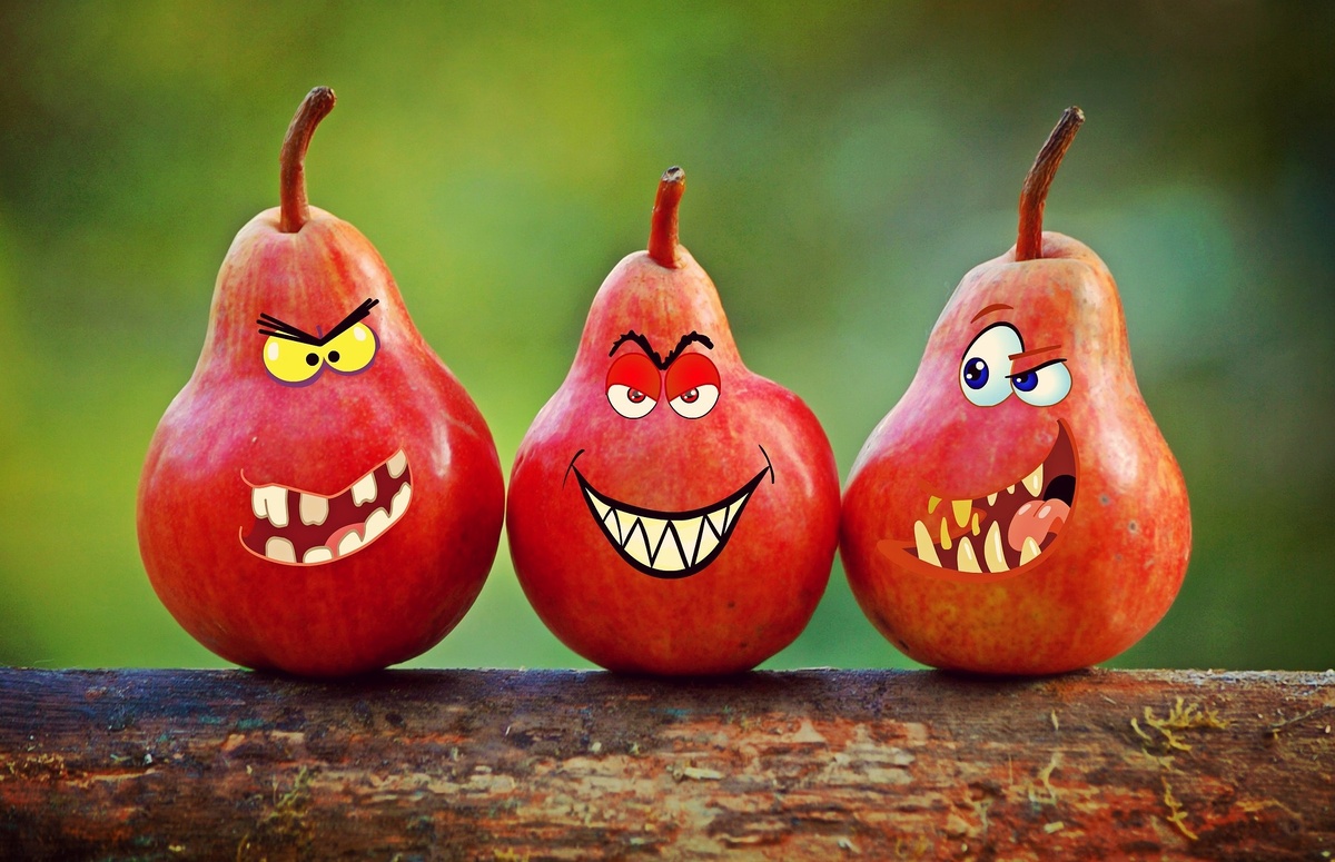 Источник изображения pixabay.com