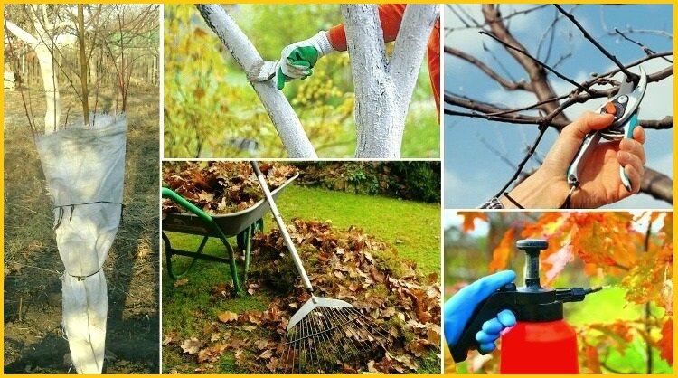 Сад, огород, урожай, участок, цветы, компост