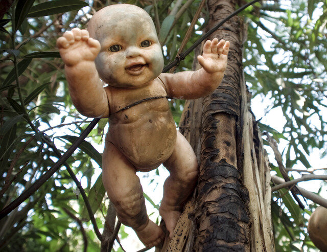 Фото с острова 