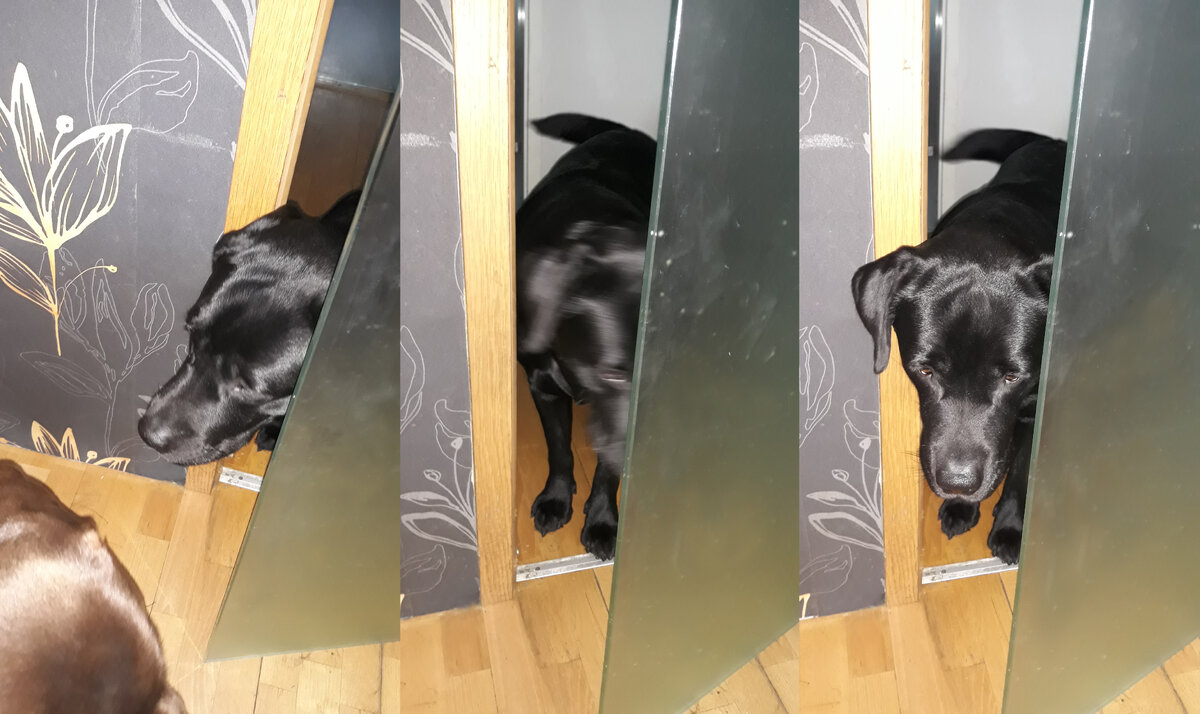 Паня прятался от Гани, ему невдомек, что через стеклянную дверь его хорошо видно.