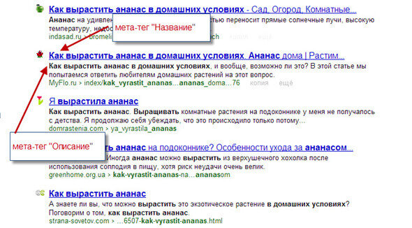 Как должны выглядеть теги