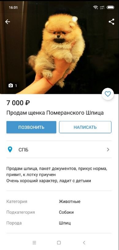 Объявление мошенника