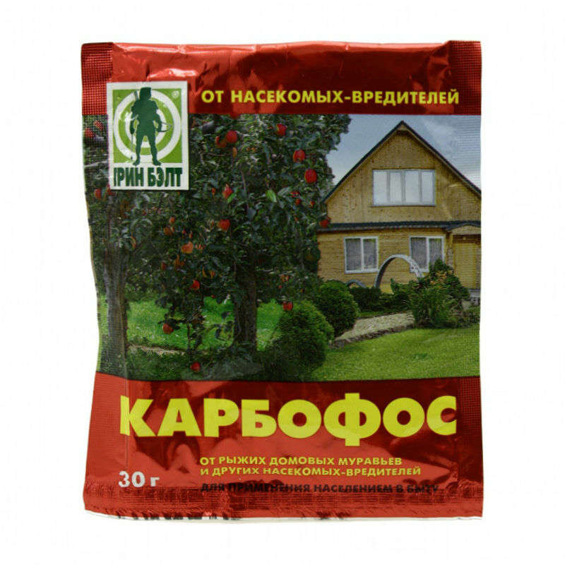 фотография из источника - Яндекс Картинки