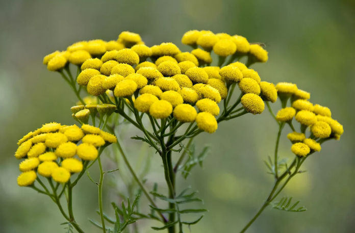 Взято из Яндекс.Картинки