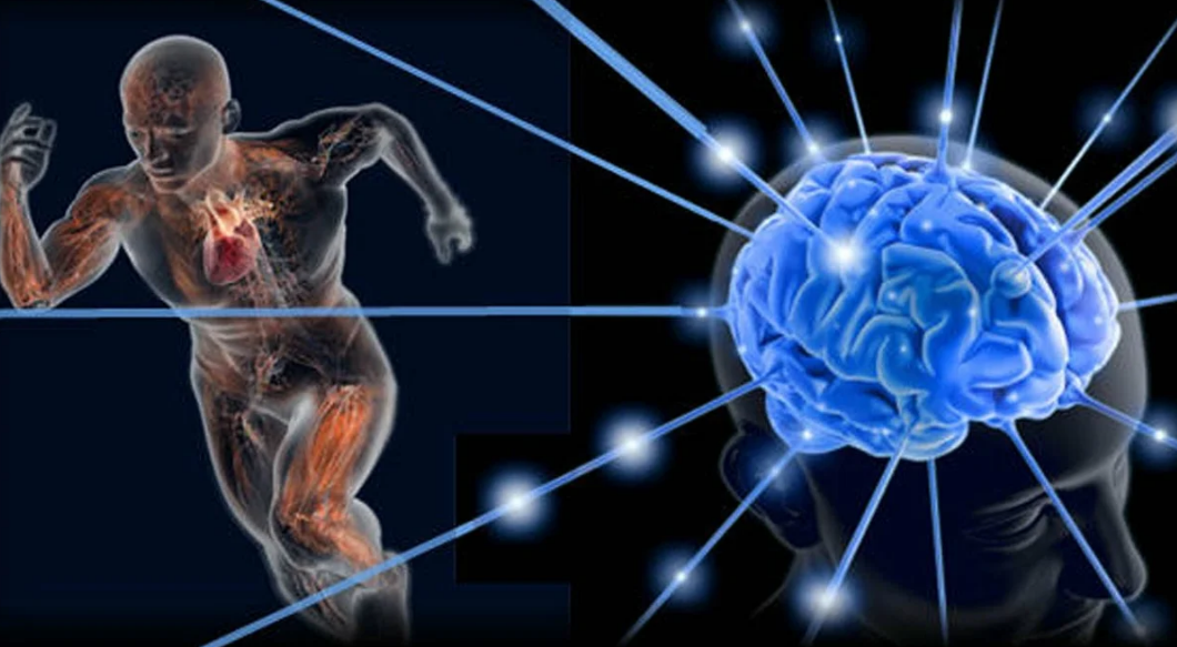 Интеллект генетика. Возможности мозга человека. Влияние спорта на мозг.
