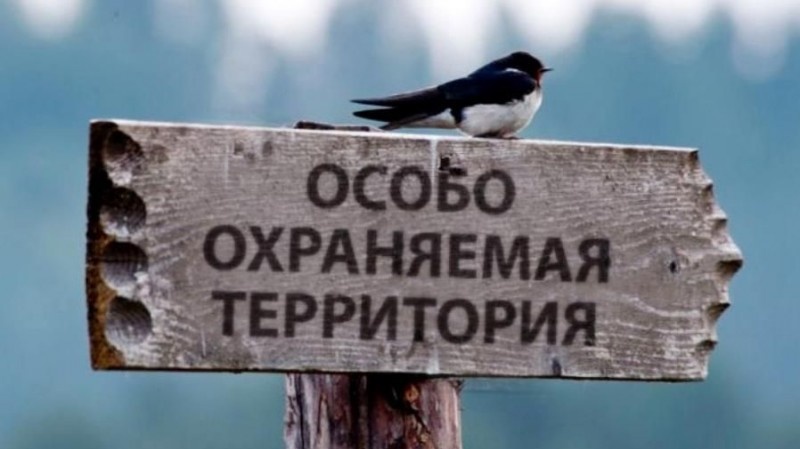 Введите описание картинки