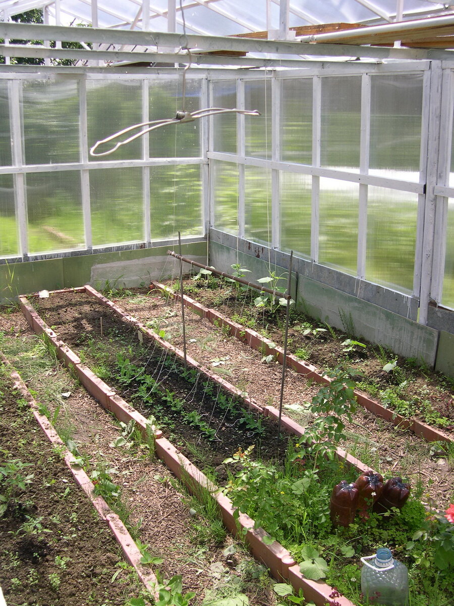 2011 г.  Бортики Грядок из пластиковых ограждений.                                                                           Между грядками плитки не было.