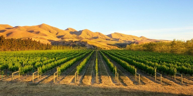 https://www.xtrawine.com/Global/Images/XW/wine-zones/31_NewZealand_1.jpg?w=768