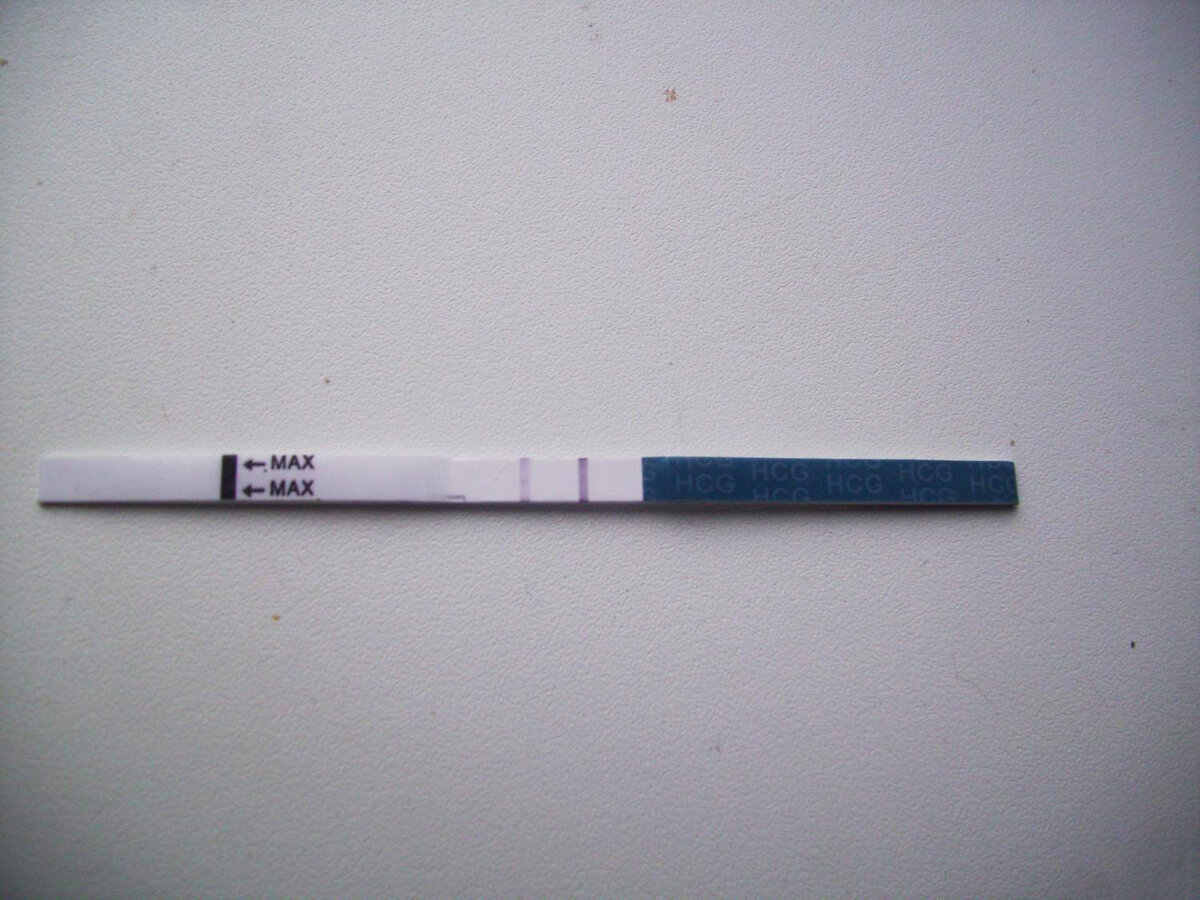 Фотография, которую она мне прислала