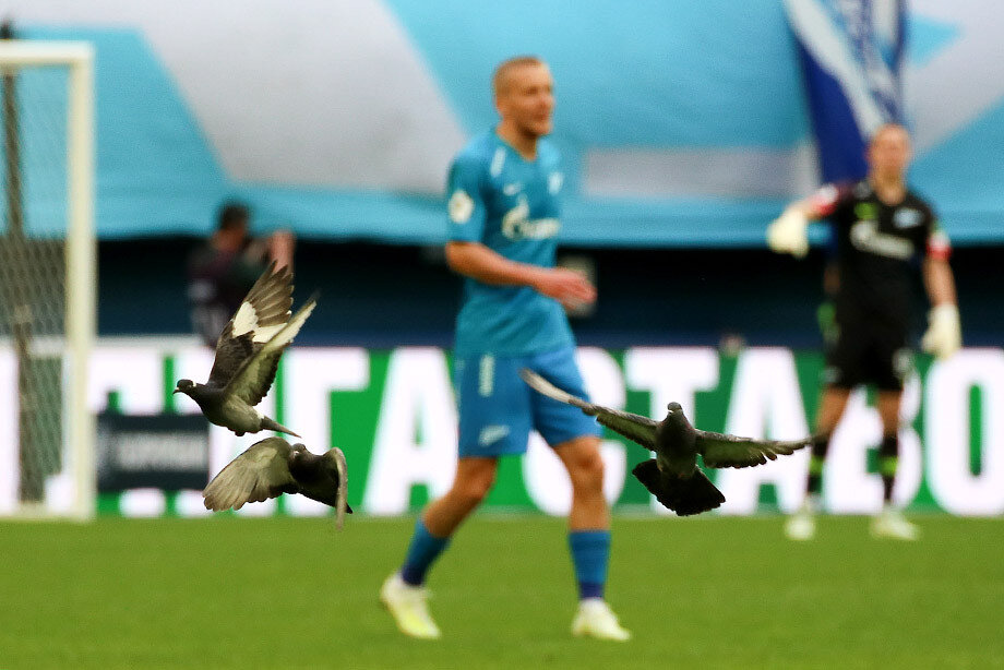 Старые знакомые играют по своим правилам