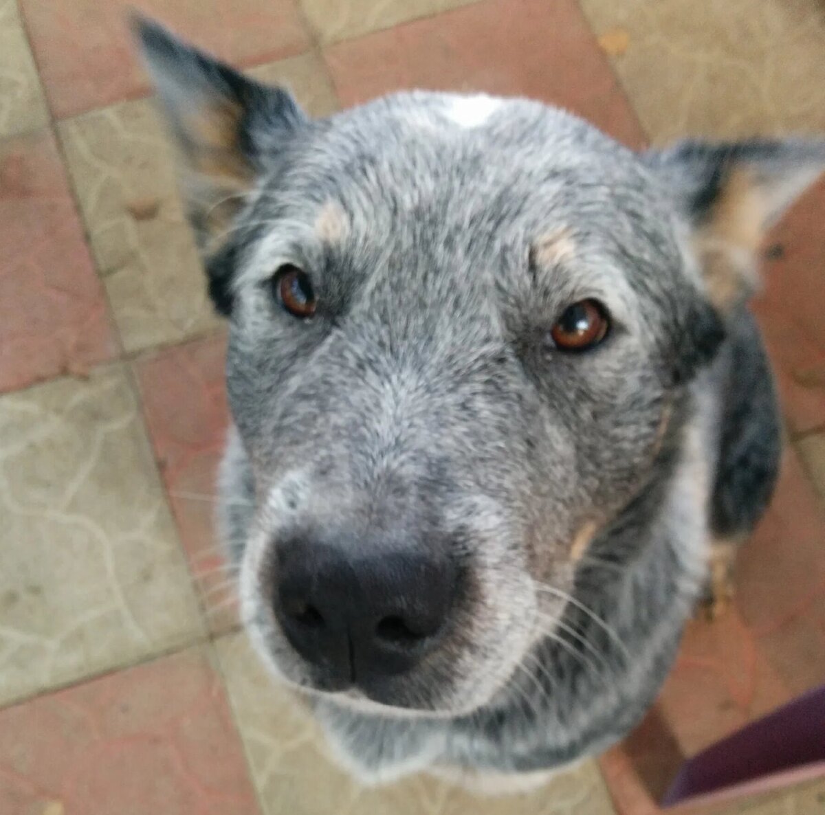 Фото из личных источников