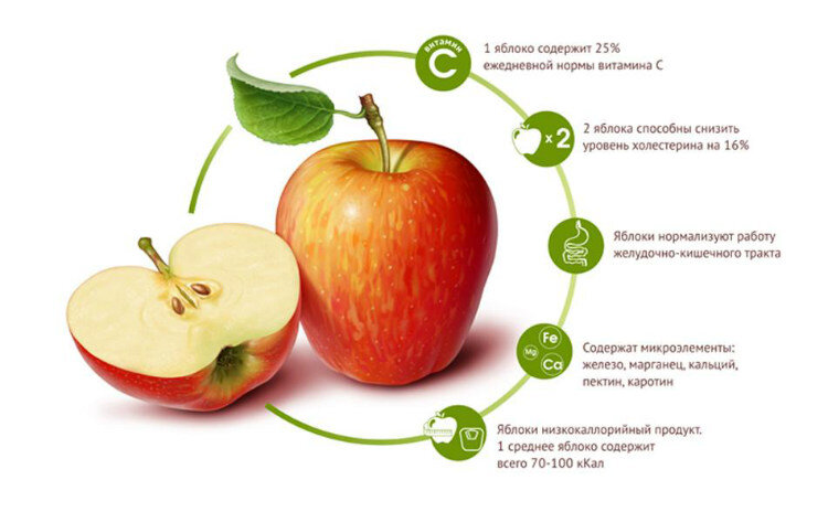 Печёные яблоки: польза и вред, химический состав и пищевая ценность, хранение и приготовление