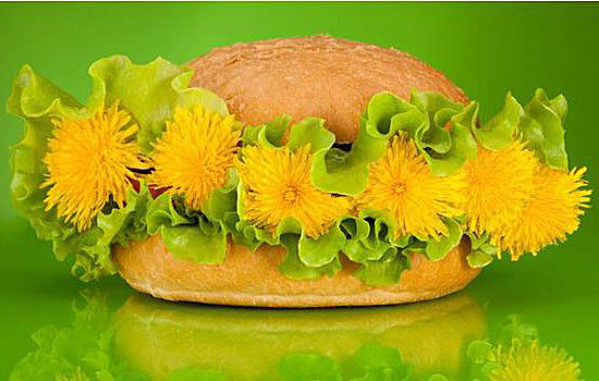 Лечебные свойства одуванчика стоят того, чтобы добавить его в рацион.