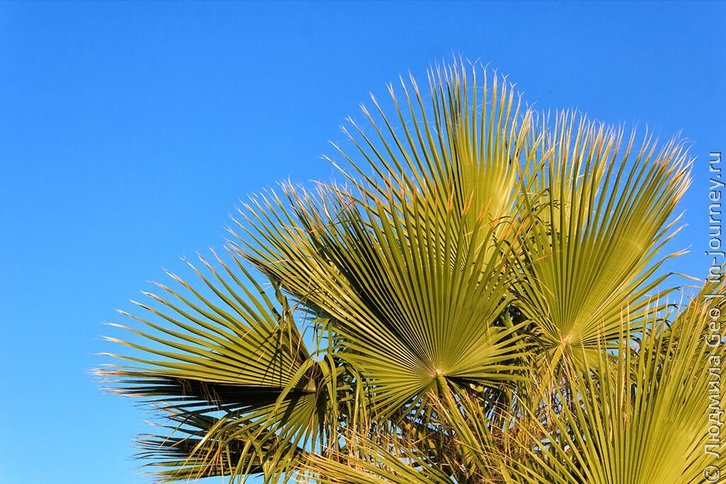 фото с моего сайта in-journey.ru