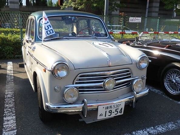 FIAT-1100TV (Turismo Veloce). Годы выпуска 1956-1960. Рабочий объем - 1089 куб.см. 