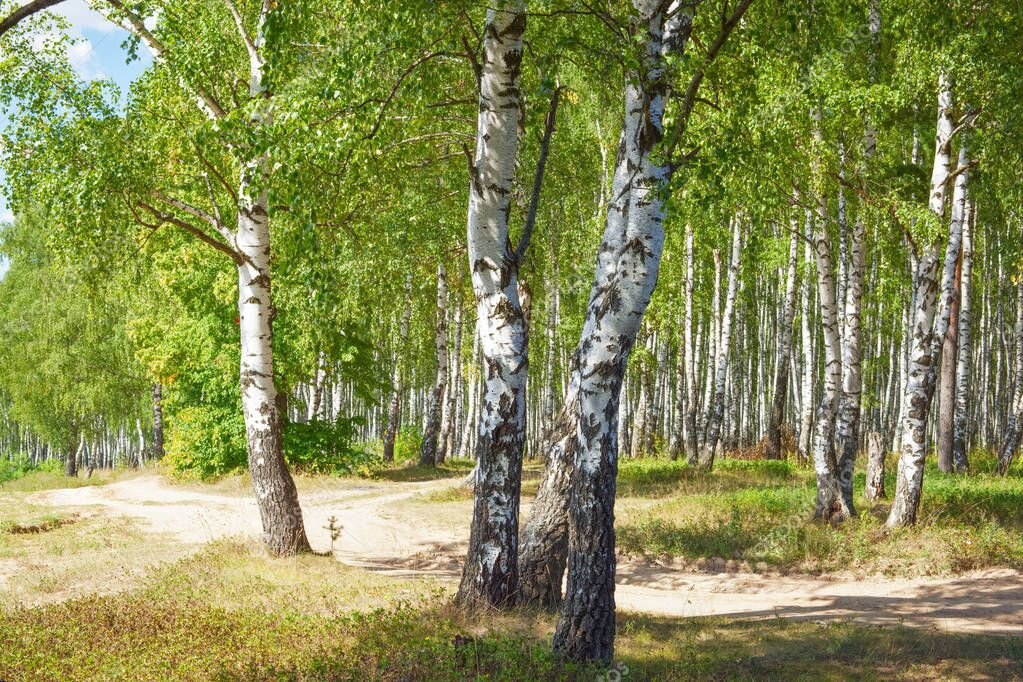 яндекс картинки
