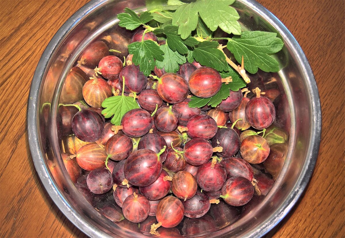 Фото с сайта: pixabay.com