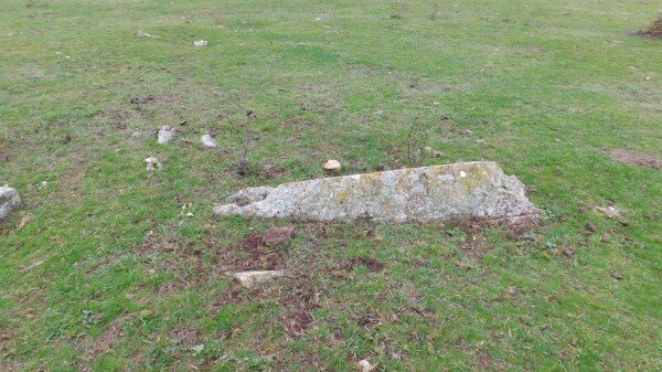  Кладбище находится на землях лесного фонда