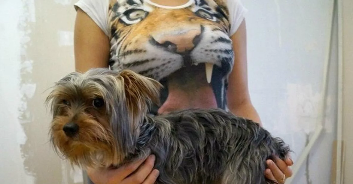 фото Яндекс.Картинки