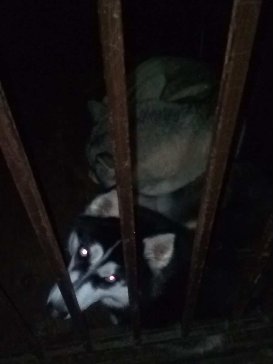 Фото автора.