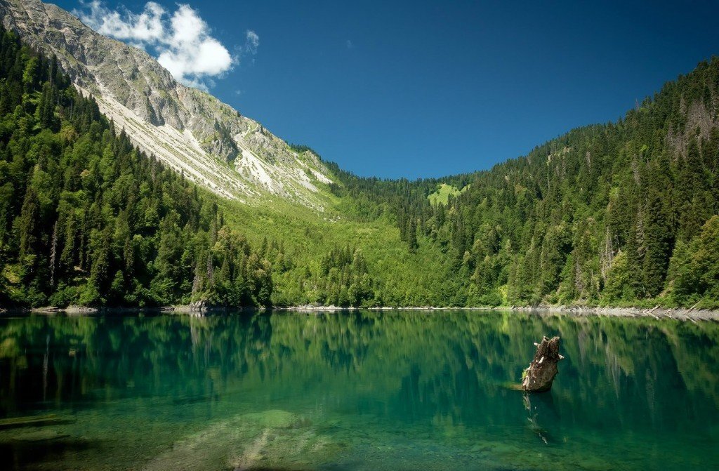 Абхазия, национальный парк