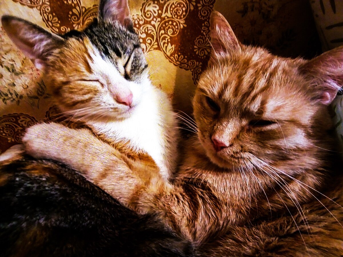 Позируем для фото