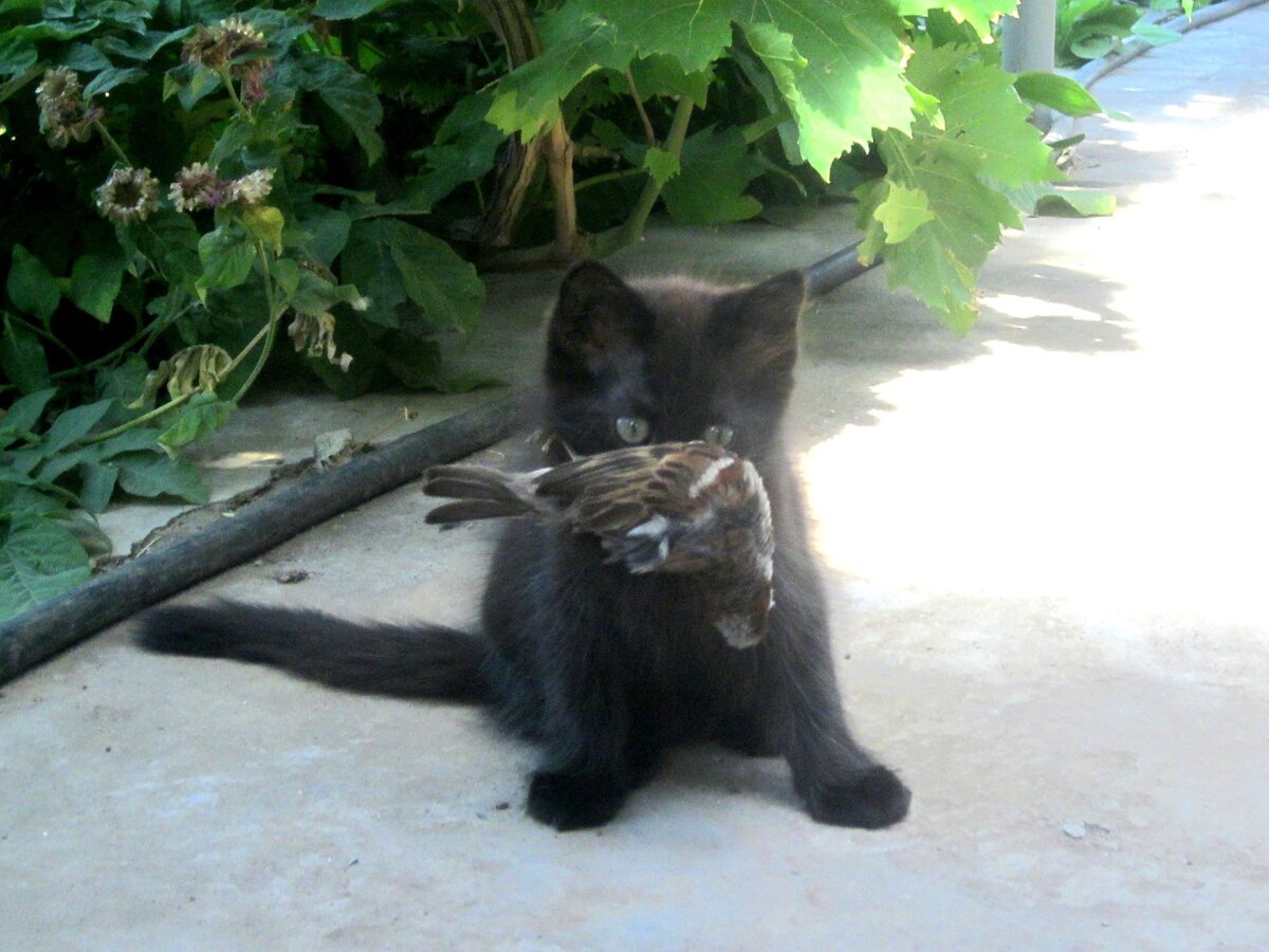 Собственное фото автора