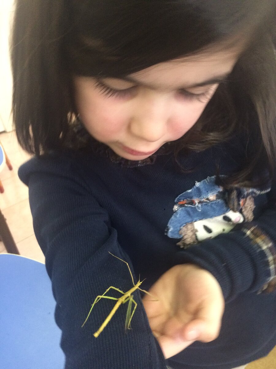 Из личного архива