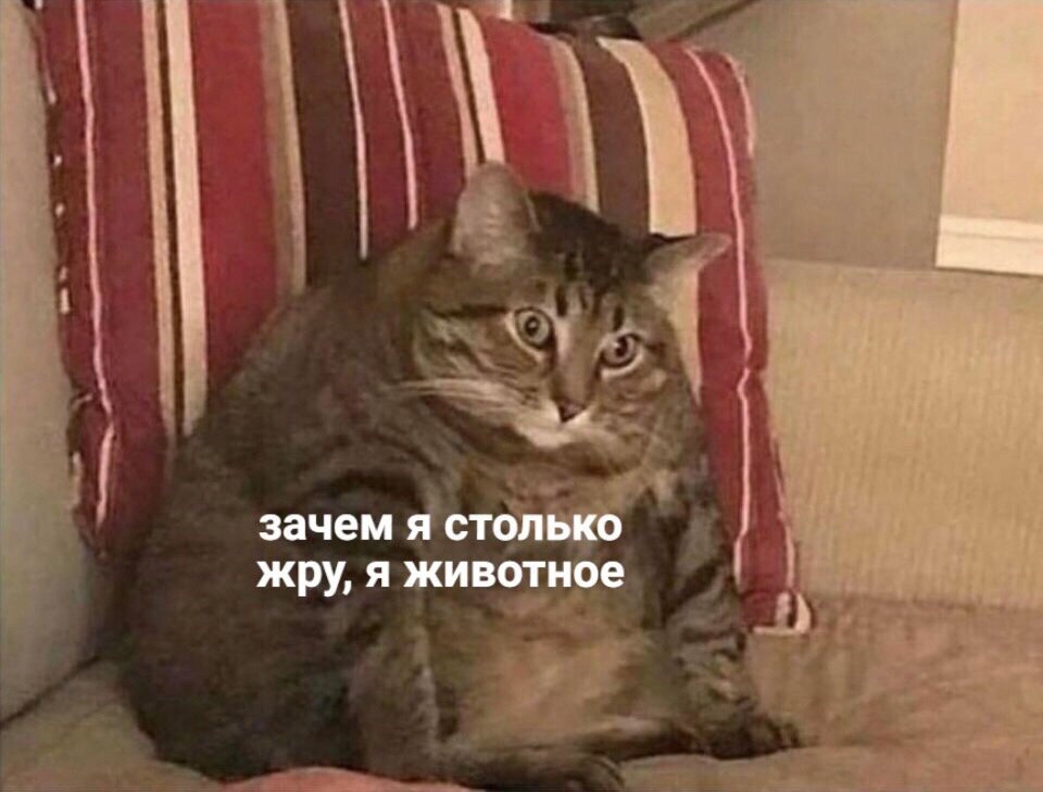 Из просторов интернета.