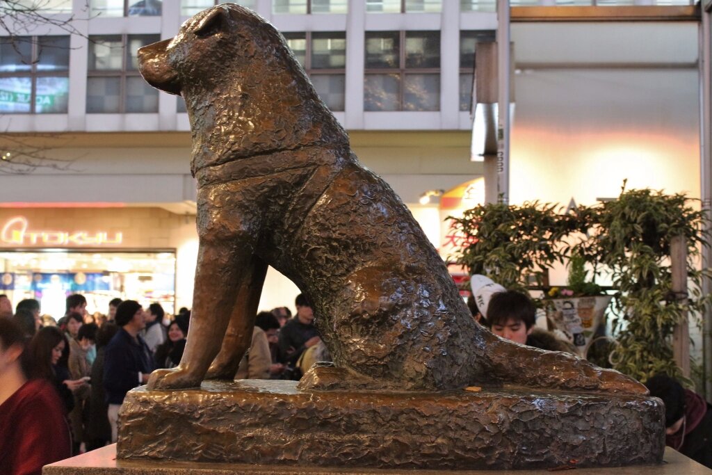 Памятник Хачико в Японии (фото из интернета)