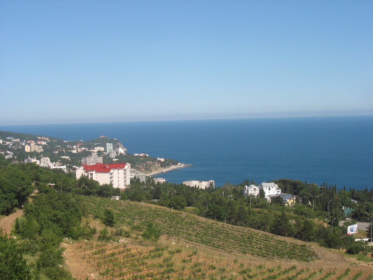 Обзор из кабины на канатной дороге. Фото из личного архива.